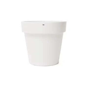 Classic 125 Studio - Bone