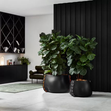 Blinde Design Stitch Series Planter shapes sculptural greenery on a private residence patio, enhancing modern outdoor living.