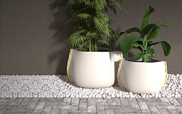Collezione di vasi per piante a punto